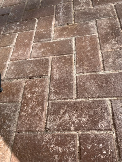 837208E5-BE73-40E1-BF85-46A746CE5499